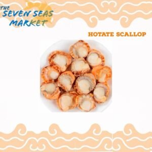 Hotate Scallop 熟带子 1KG